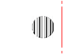 andrea-fasani-logo-barre-livelli180